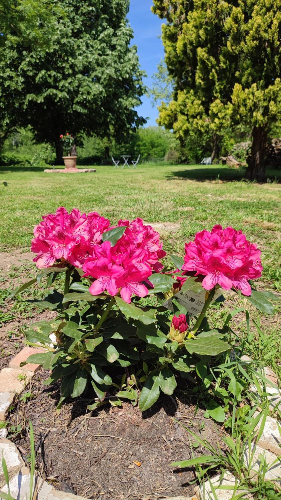 Отель La Rose Paisible Brusson Экстерьер фото
